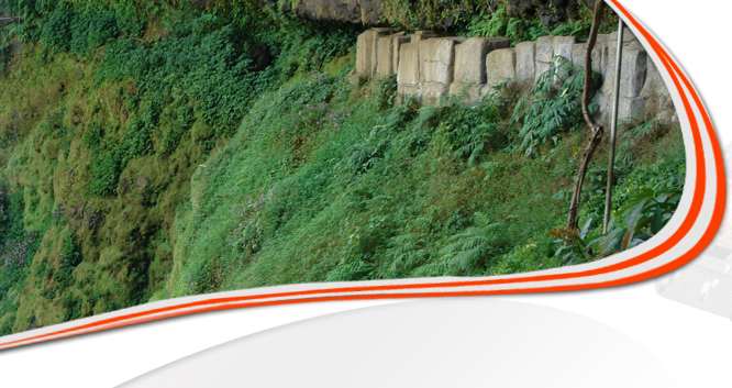 Waterfall banner